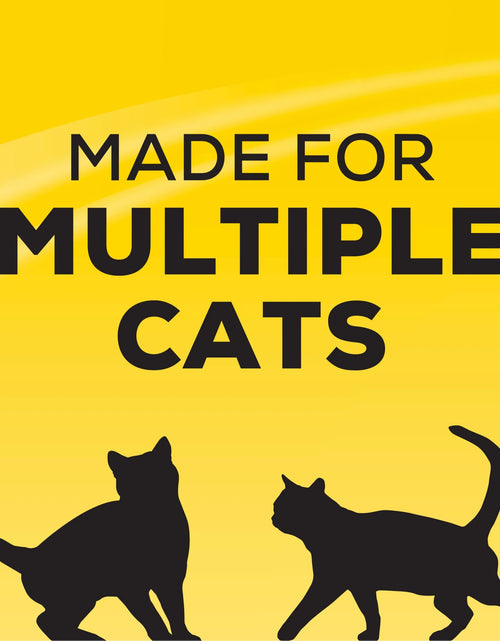 Load image into Gallery viewer, Purina  4-In-1 Strength Clumping Cat Litter, Floral Scent, 35 Lb Pail
