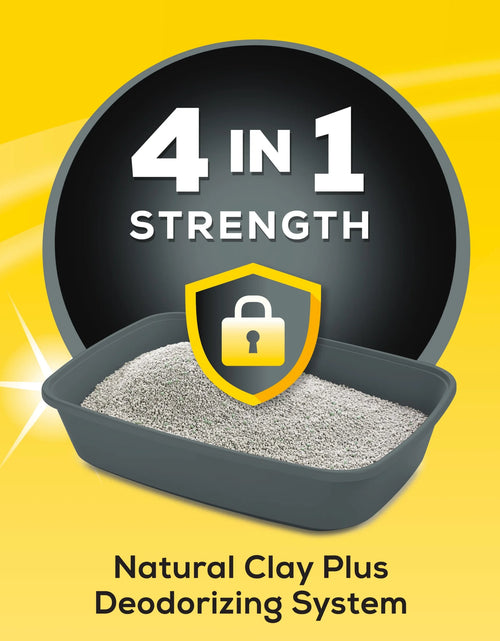 Load image into Gallery viewer, Purina  4-In-1 Strength Clumping Cat Litter, Floral Scent, 35 Lb Pail
